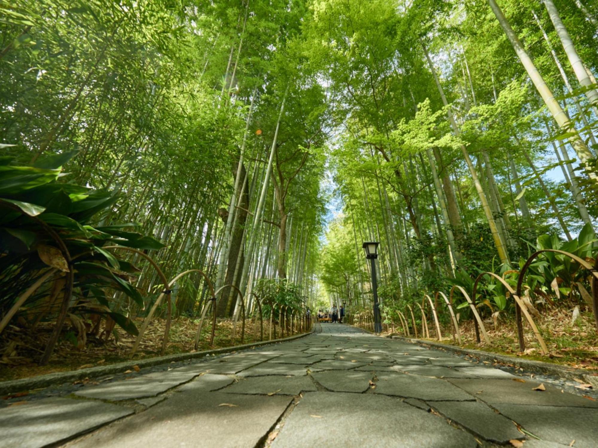 Shuzenji Onsen Hotel Takitei Izu  Dış mekan fotoğraf