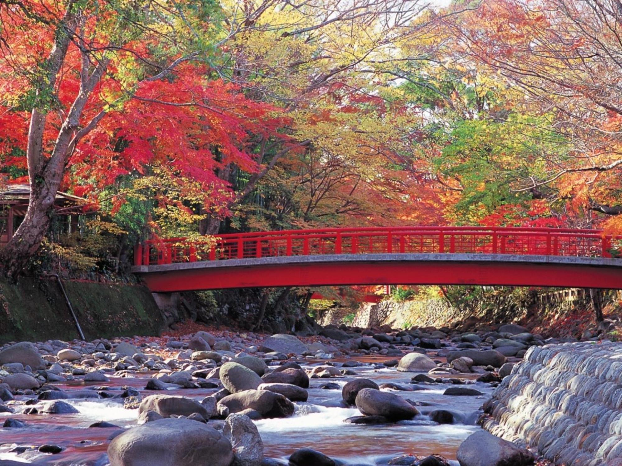 Shuzenji Onsen Hotel Takitei Izu  Dış mekan fotoğraf